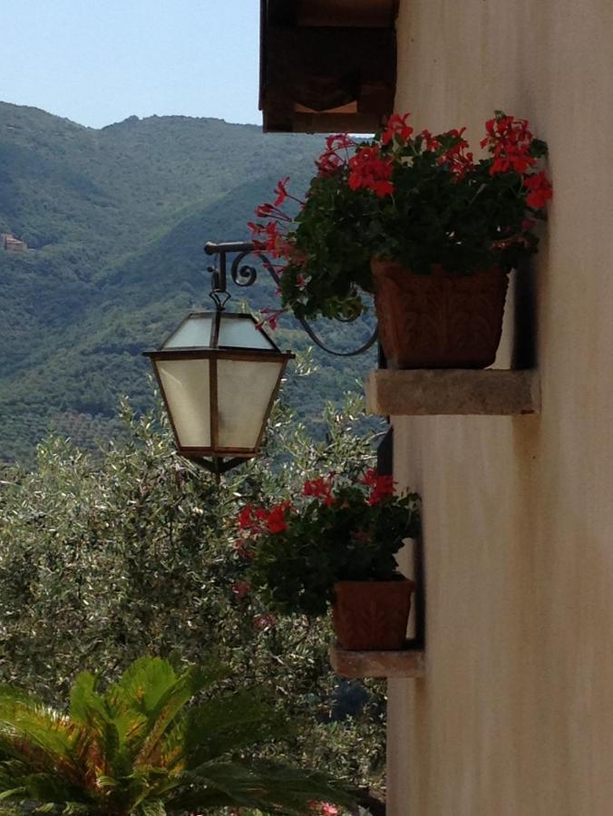 Agriturismo Collerisana 斯波莱托 外观 照片
