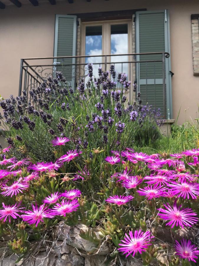 Agriturismo Collerisana 斯波莱托 外观 照片